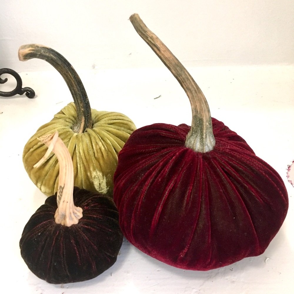Decorative velvet pumpkins 🎃